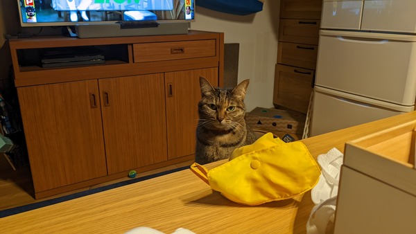 PXL_20220308_105010830