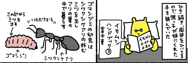 com00076_2