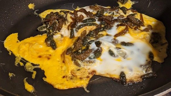 PXL_20220314_092225654