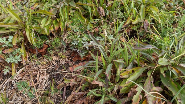 PXL_20220314_013215581