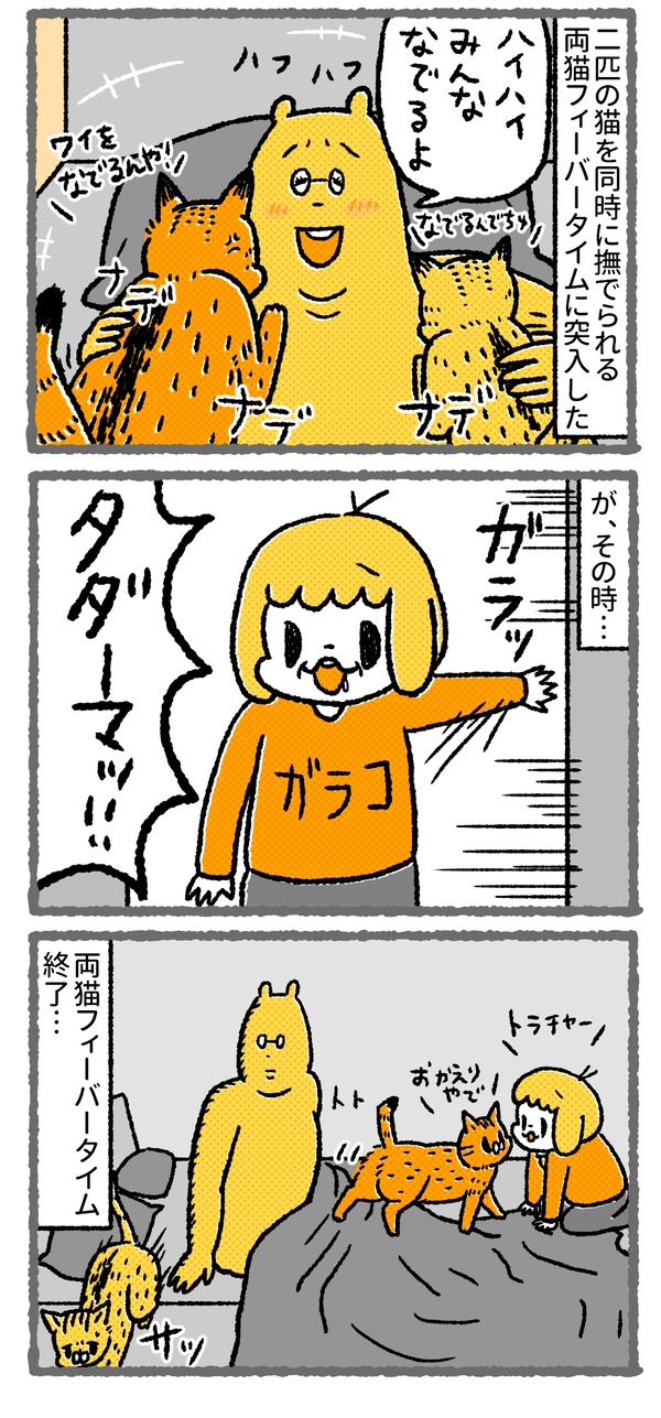 579_03