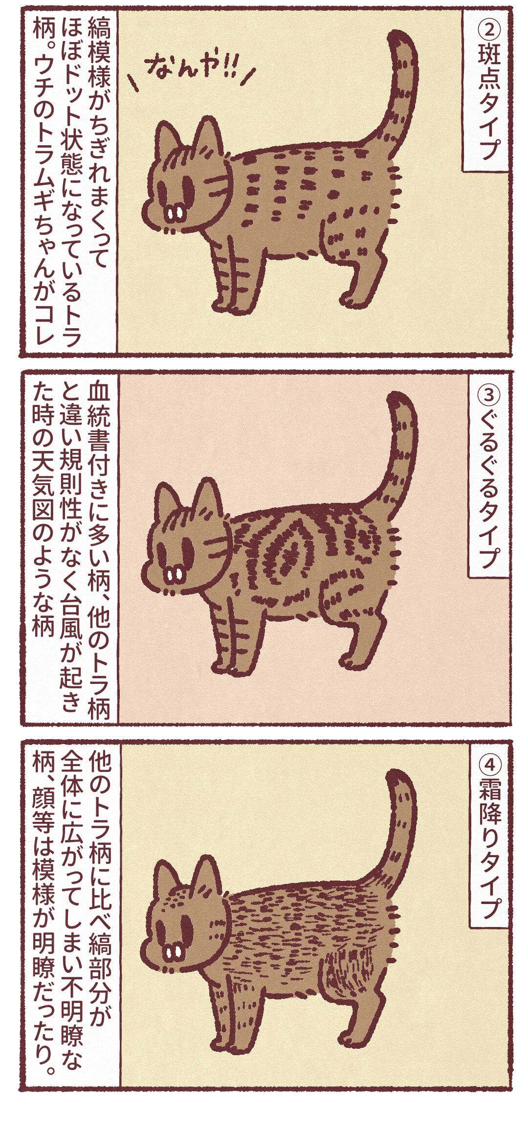 奥深い猫のしま模様の世界 : 藻本とサムシングのはなし。