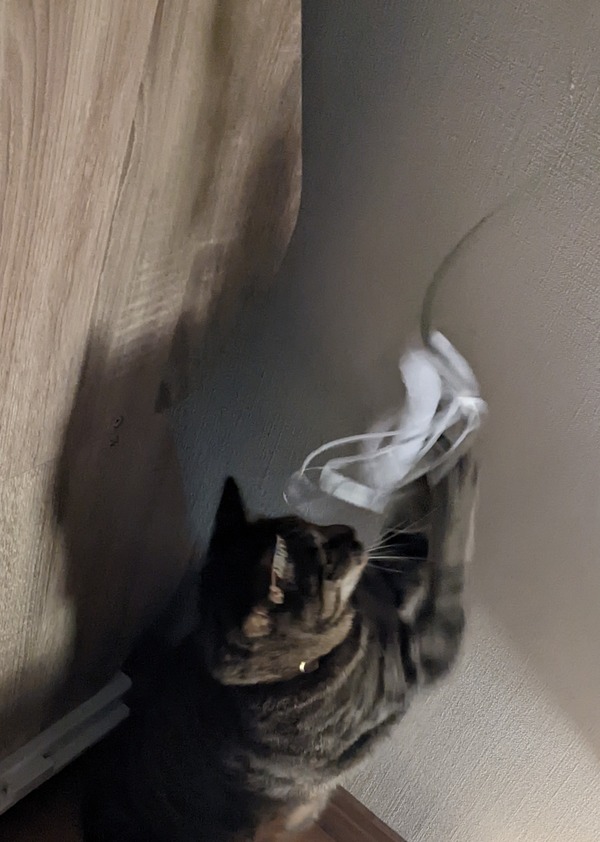 PXL_20220314_102826438~2