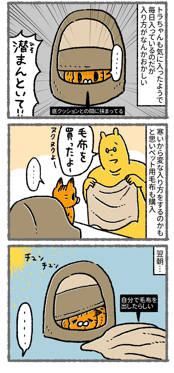 611_03