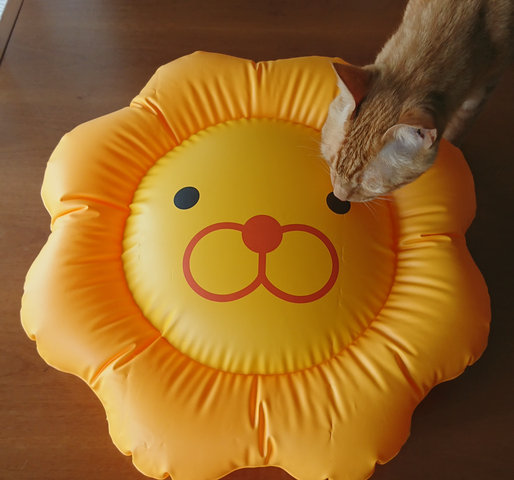 ミスタードーナツ グッズ ポン デ ライオン ピングー セサミストリート って 懐かしすぎる ムギとあれこれ節約日記 ミスタードーナツ グッズ ポン デ ライオン ピングー セサミストリート って 懐かしすぎる ムギとあれこれ節約日記