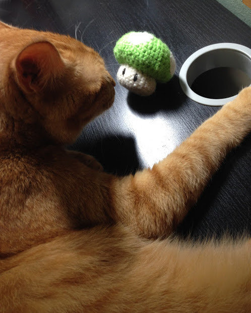 毛糸のハンバーガー ドーナツ お団子etc 1upキノコまで ムギとあれこれ節約日記