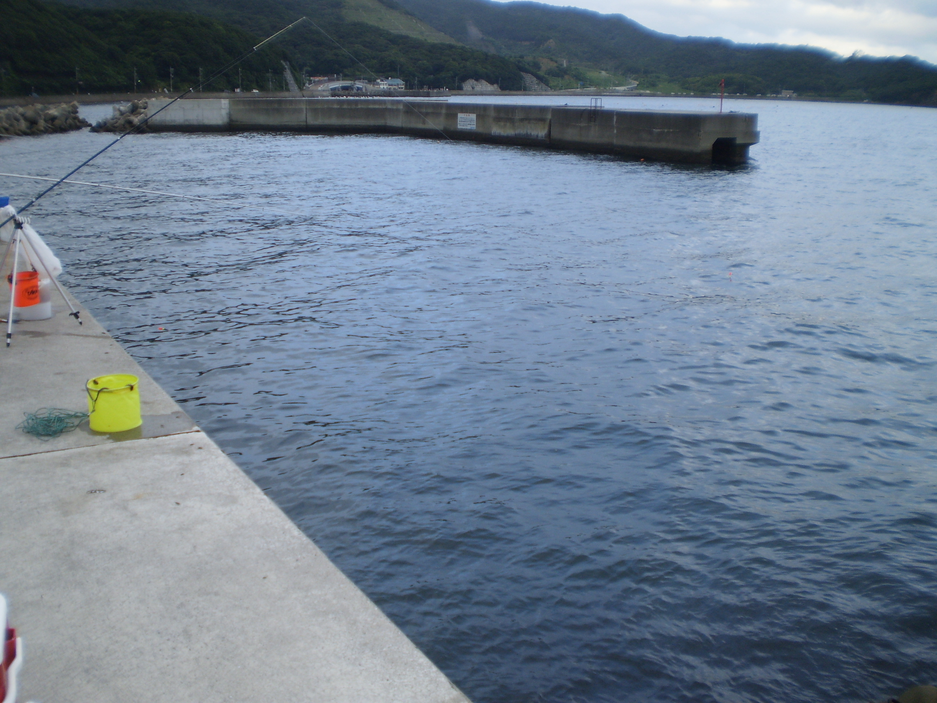 8 12 小島漁港にて アジにサヨリにグレ 食い意地はった釣り師