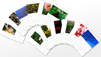 flower_01-12_sample