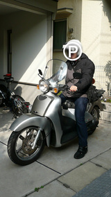 potts_on_スカラベ_02