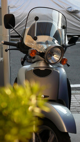 秋だなぁ
