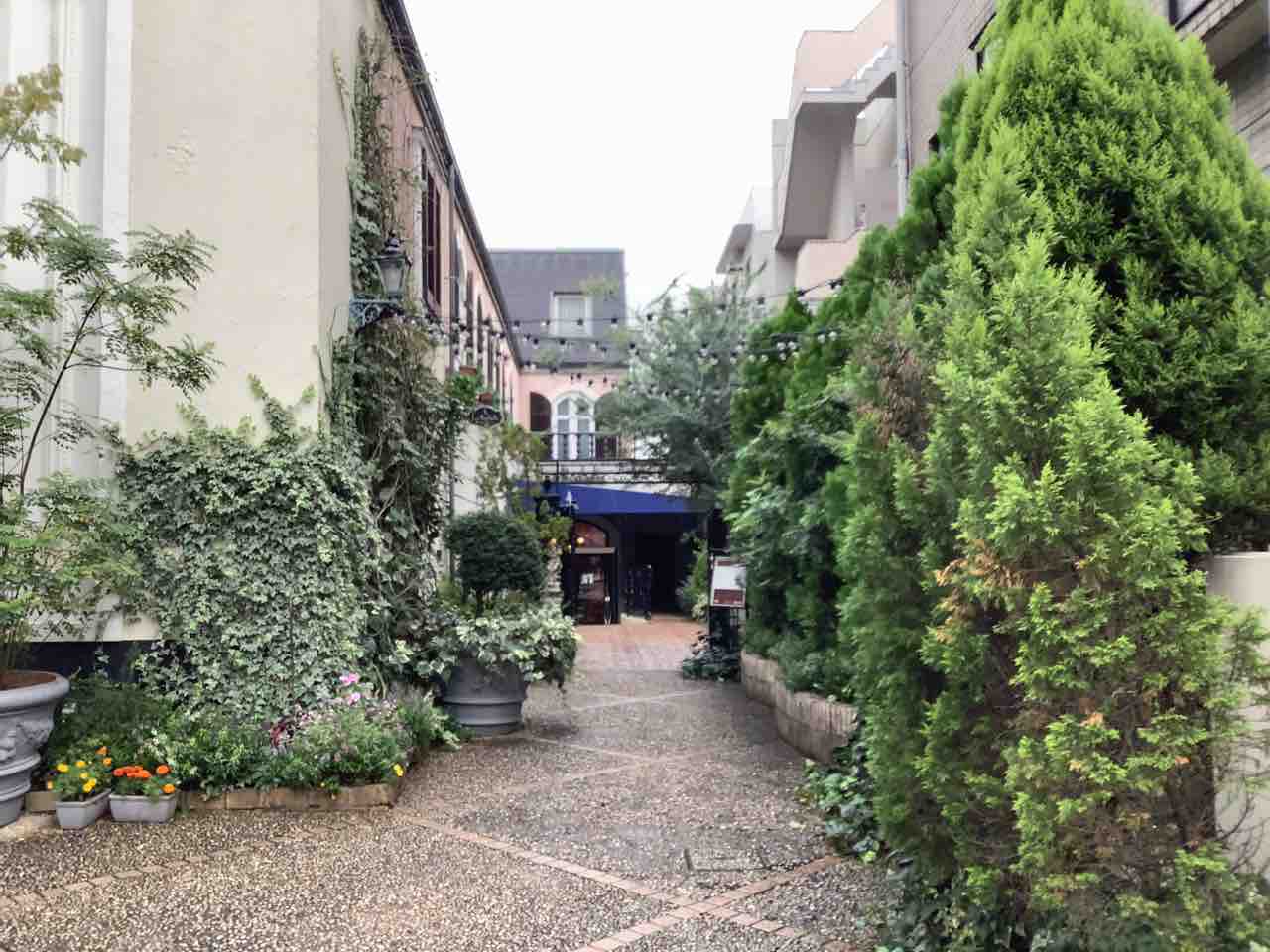 秋の食材が満載の贅沢フレンチ ラロシェル南青山 Mogmog Foreignerの食べ歩き 秋の食材が満載の贅沢フレンチ ラロシェル南青山 Mogmog Foreignerの食べ歩き