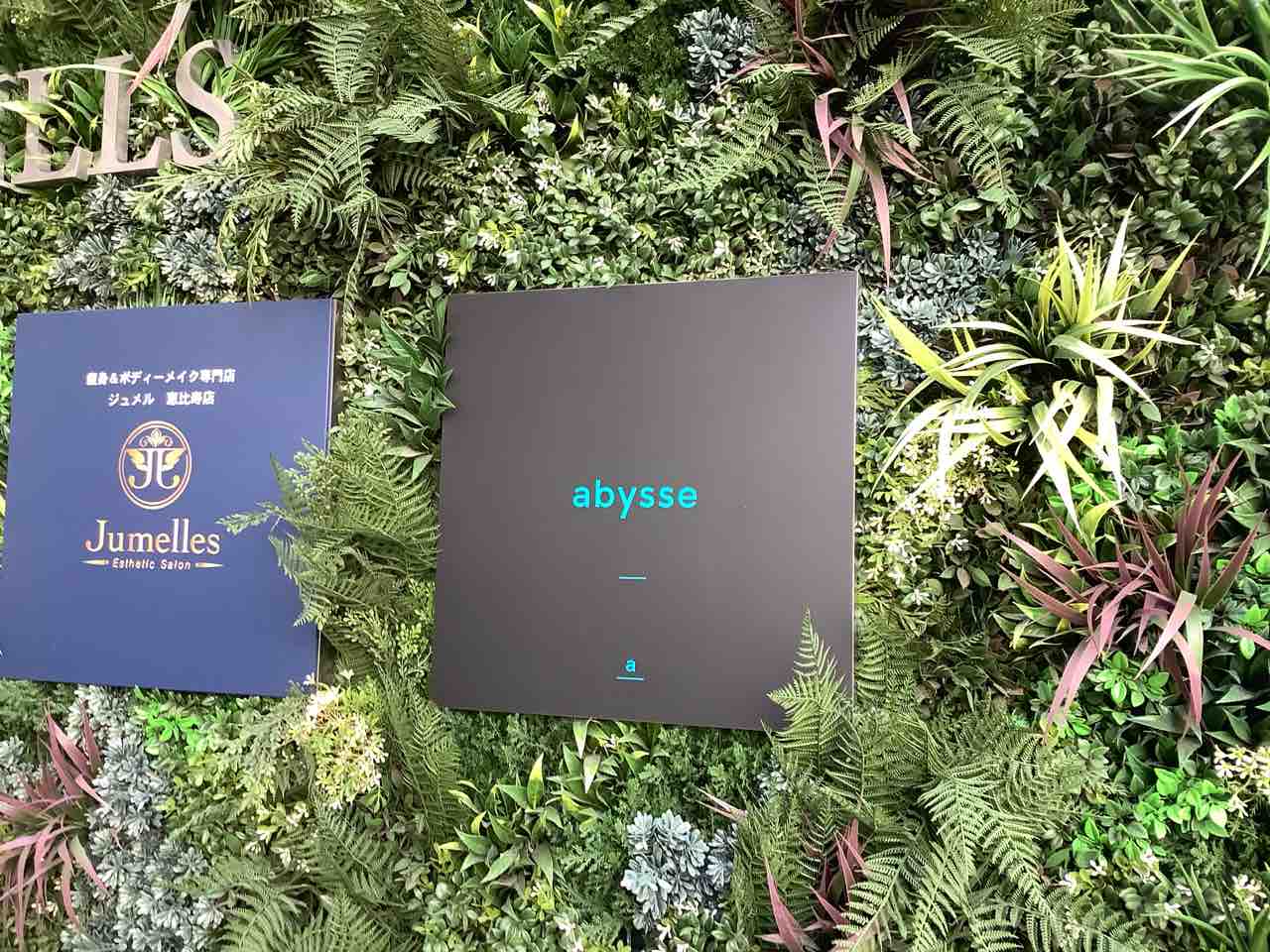 代官山でミシュラン1つ星モダンフレンチ アビス Mogmog Foreignerの食べ歩き