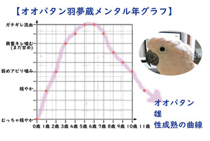 ̾¾Î̤ÀßÄê-1