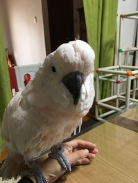 IMG_1830