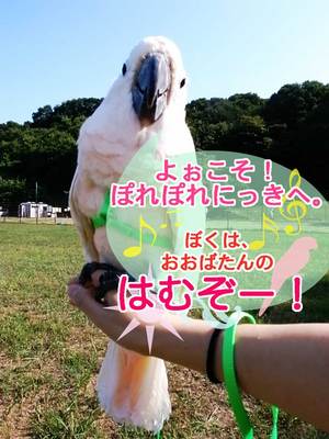 �Ϥा���褦����1