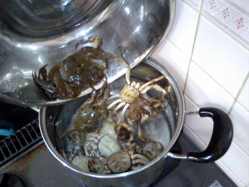 川蟹の甲羅味噌焼き の作り方 今期最後のモクズガニ もぐもぐぶーぶー