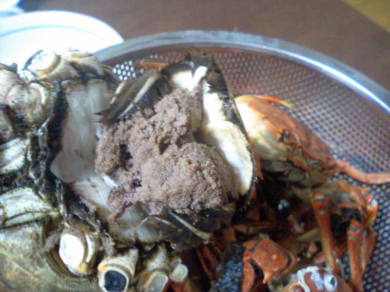 川蟹の甲羅味噌焼き の作り方 今期最後のモクズガニ もぐもぐぶーぶー