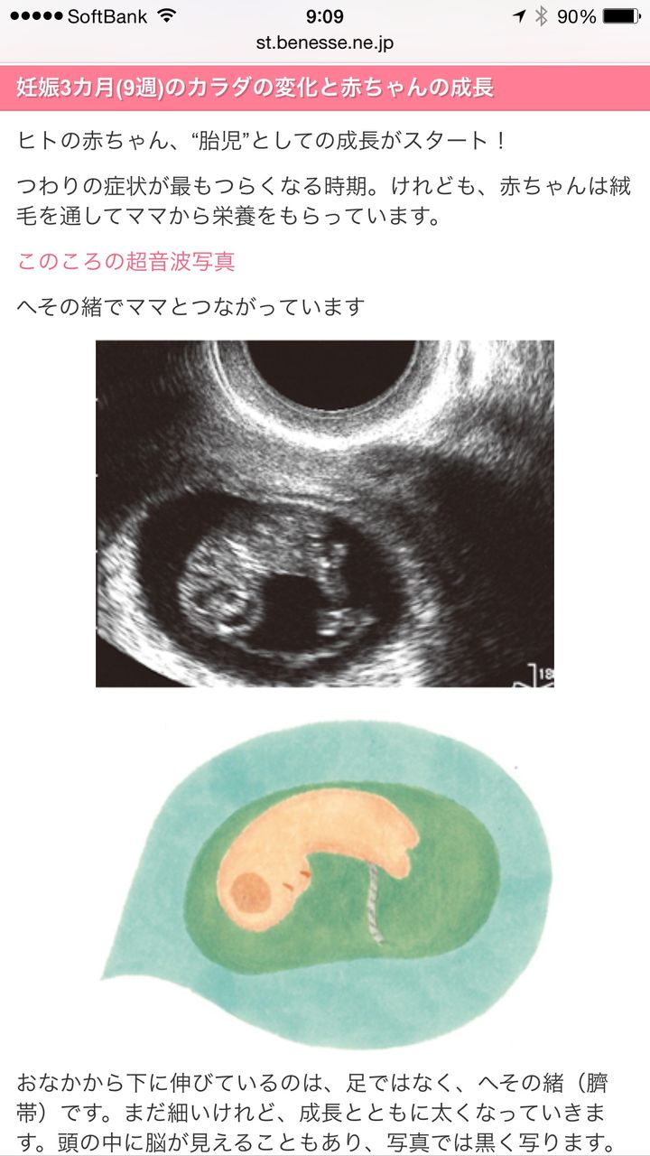 9w突入 マタニティーからママへ