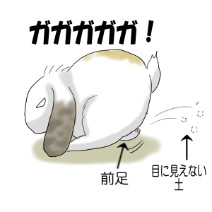 穴掘り うさぎ絵日記