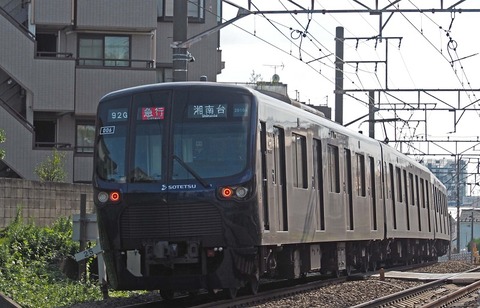 PA131794