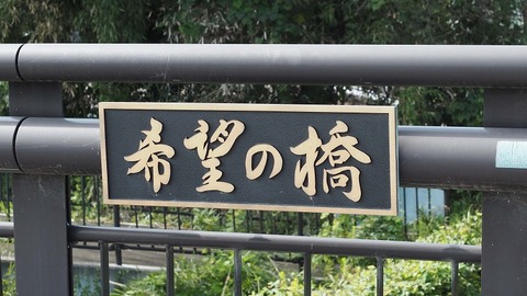 P9050666