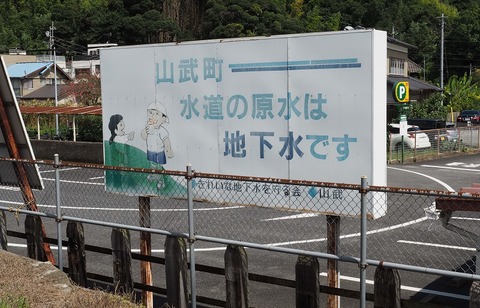 P9020366 日向