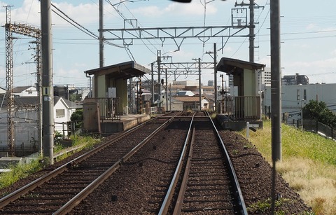 P9295336(神ノ木)