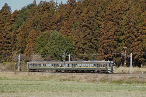 P3058653　511M(5002)