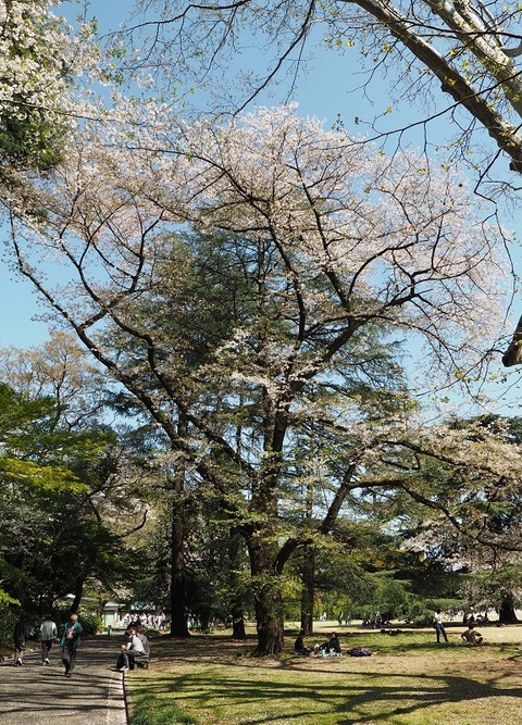P4094136