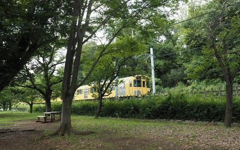 P6190967