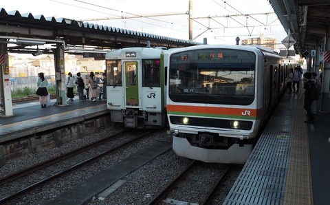 P9050762 高麗川