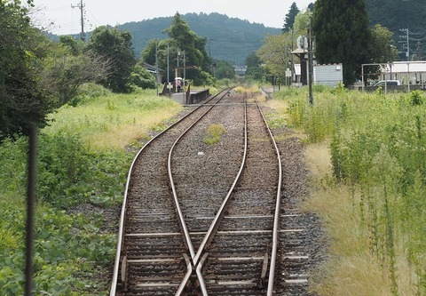 P9054596 市塙