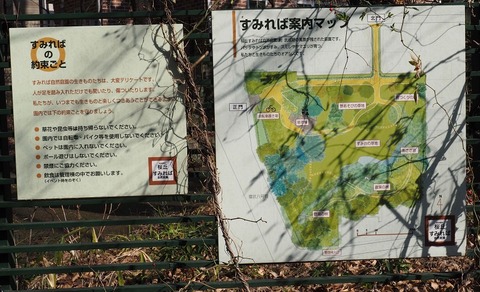 P1213208
