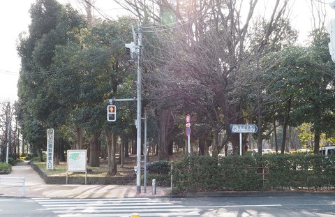 P1213223