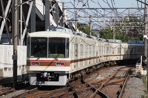 P3213716 新津田沼