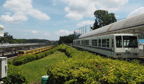 P6190926