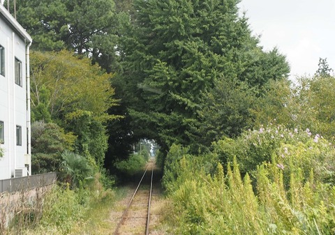 P9054554