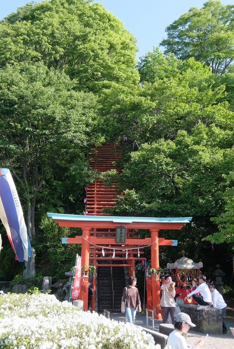 DSCF7446