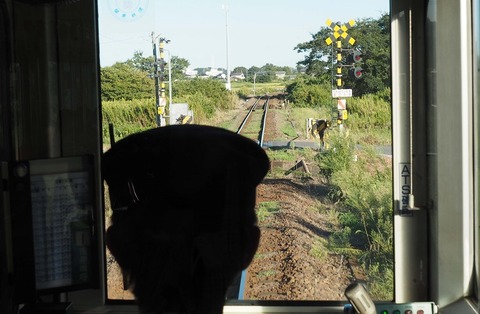 P9054726