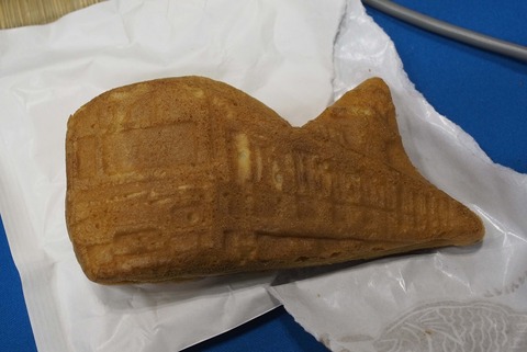 P8180233