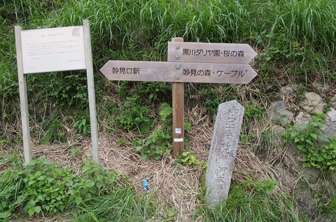 P9235464