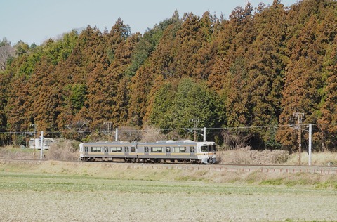 P3058668　515G(3025)