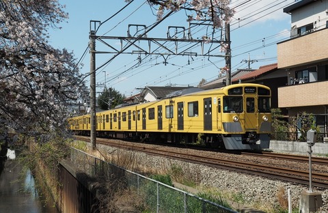 P4039305