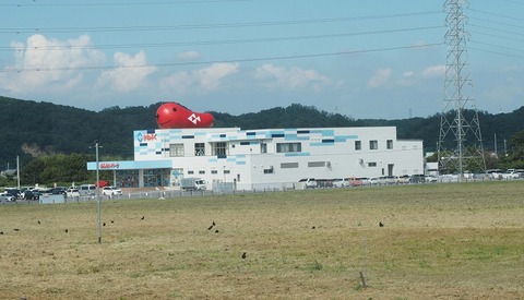 P9050678