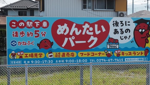 P9050675