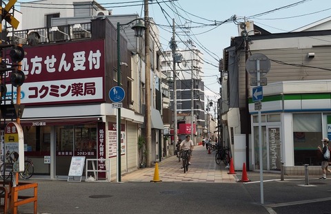 P9295480(あびこ道)