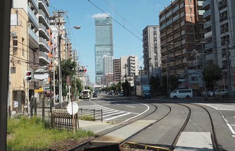 P9295326(松虫)