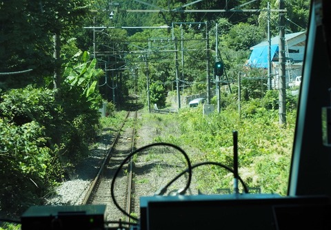 P8244270