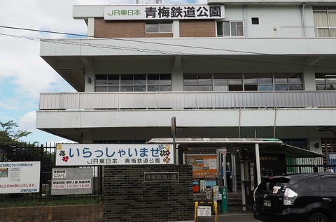 P8244179