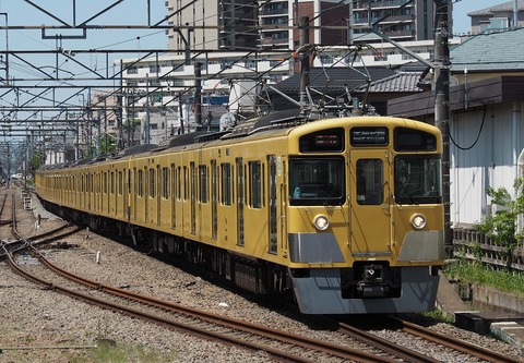 P4304411